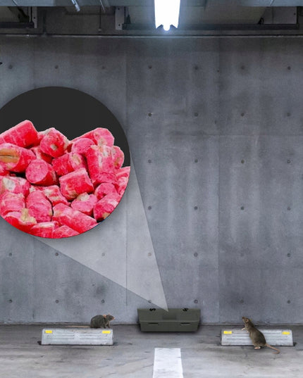 3x NUODAI ŽIURKĖMS IR PELĖMS GRANULĖS BROMADIOLONE NO PEST 1KG