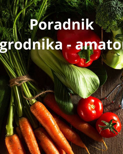 Akumuliatorinė vejapjovė Yato 36V, pjovimo plotis 34 cm, be akumuliatorių