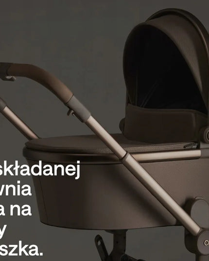 ANEX FLO 2-in-1 vežimėlis su adapteriais | Browny 2026 m. kolekcija