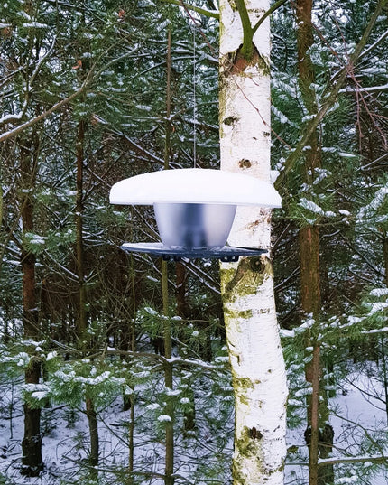 Apvali paukščių lesykla Birdyfeed – namelis žiemai