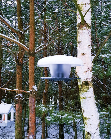 Apvali paukščių lesykla Birdyfeed – namelis žiemai