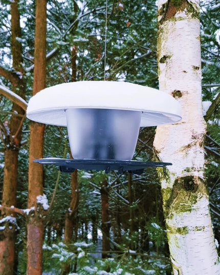 Apvali paukščių lesykla Birdyfeed – namelis žiemai