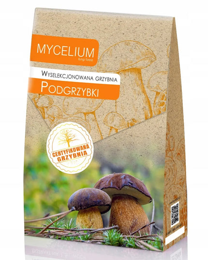 Atrinkta baravykinių grybų (Podgrzybek) kultūra 120ml