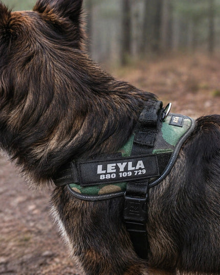 Atšvaitinė etiketė, skirta Julius K9 Mini 11x3 petnešoms – Jūsų tekstas