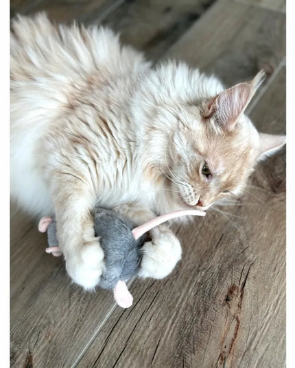 AUMÜLLER Žiurkė CEDRIC su valerijonu, šlamantis žaislas katei, pliušinis, 13 cm