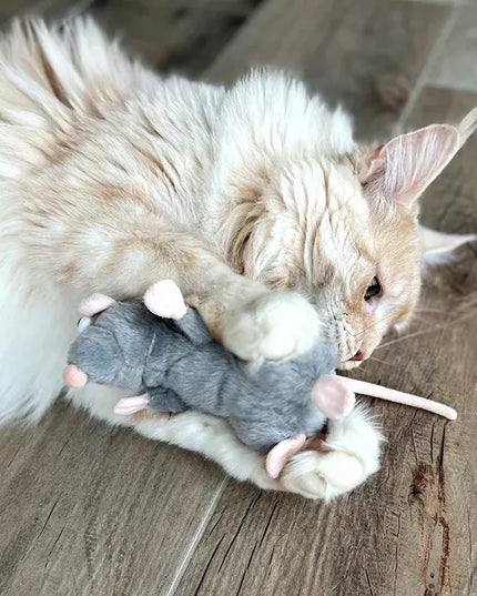 AUMÜLLER Žiurkė CEDRIC su valerijonu, šlamantis žaislas katei, pliušinis, 13 cm