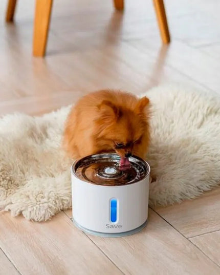Automatinė gertuvė-fontanas katėms ir šunims su filtru, tyli