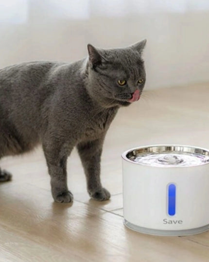 Automatinė gertuvė-fontanas katėms ir šunims su filtru, tyli