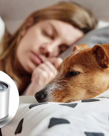 Automatinė gertuvė-fontanas katėms ir šunims su filtru, tyli