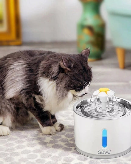 Automatinė girdykla-fontanas katėms ir šunims su filtru