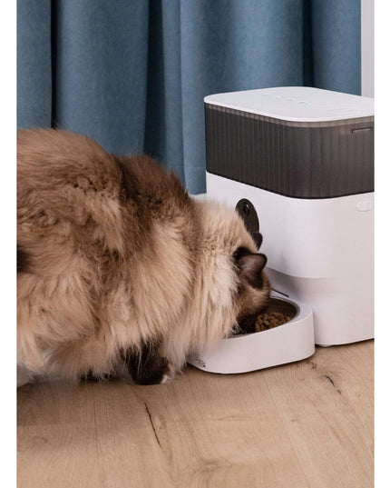 Automatinė šėrykla KittyTech MeowMeal Duo, Wi-Fi Tuya, dviguba
