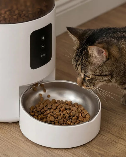 Automatinis maisto dozatorius katėms ir šunims 3L – WiFi