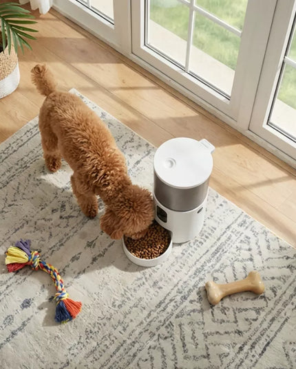 Automatinis maisto dozatorius katėms ir šunims 3L – WiFi