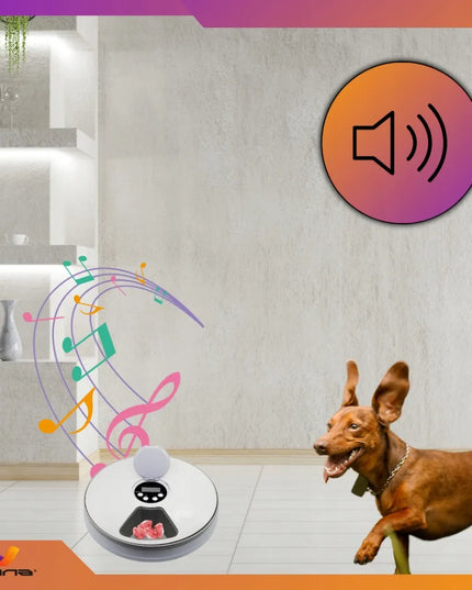 Automatinis maisto dozatorius šunims, katėms ir triušiams – Omna 4PAWS
