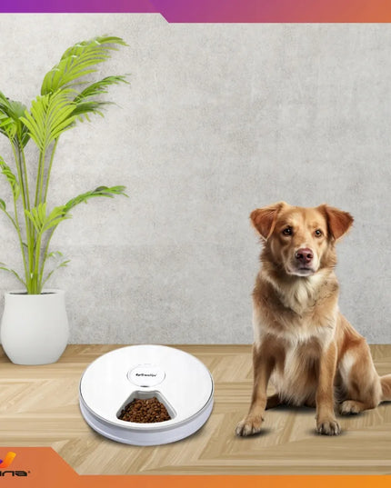 Automatinis maisto dozatorius šunims, katėms ir triušiams – Omna 4PAWS