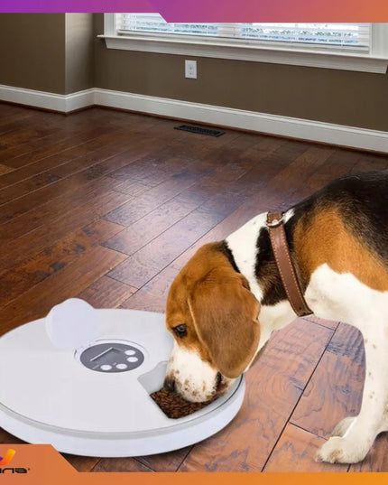 Automatinis maisto dozatorius šunims, katėms ir triušiams – Omna 4PAWS