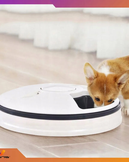 Automatinis maisto dozatorius šunims, katėms ir triušiams – Omna 4PAWS