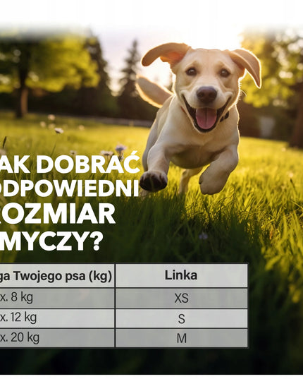 Automatinis šuns ir katės pavadėlis Flexi 8 m su Multi Box dėklu ir 80 maišelių