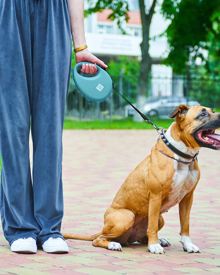 Automatinis šunų pavadėlis su maišelių dėtuve, atspindintis šviesą, dydis S, iki 12 kg