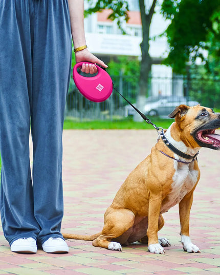 Automatinis šunų pavadėlis su maišelių dėtuve, atspindintis šviesą, M dydis, iki 20 kg