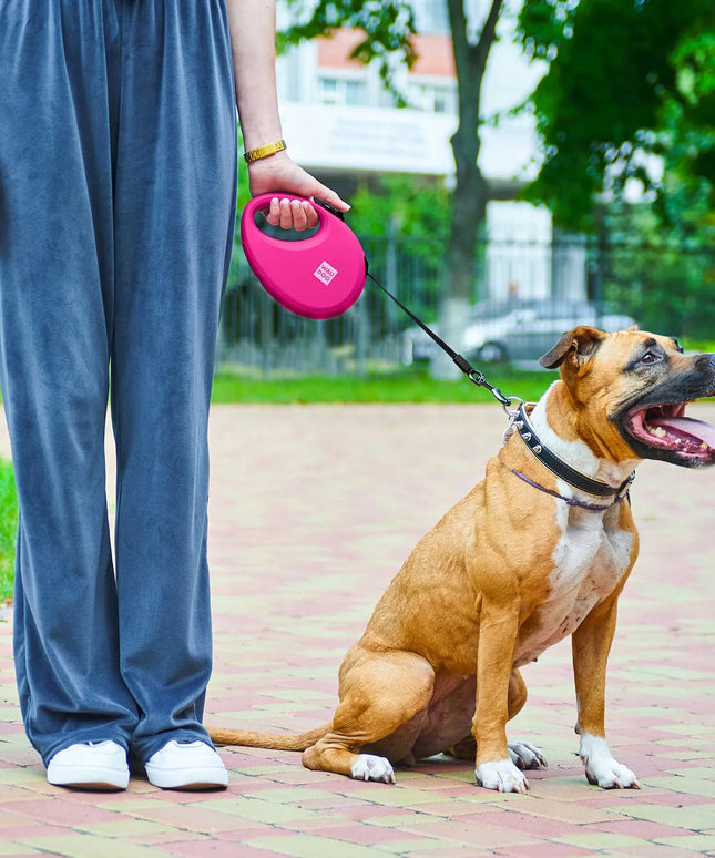Automatinis šunų pavadėlis su maišelių dėtuve, atspindintis šviesą, M dydis, iki 20 kg