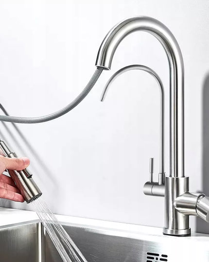 Virtuvės maišytuvas dvigubas REA Eco Fresh, nikeliuotas, stovintis su vandens filtru