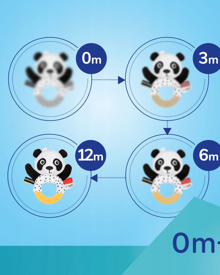 Canpol babies didelė sensorinė lavinamoji knygelė BabiesBoo PANDA