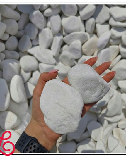 Balti Thassos akmenukai 8-13 cm, žvilgantys akmenys sodui ir tvenkiniams, 5 kg