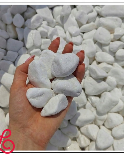 Balti Thassos upės akmenukai, dekoratyviniai akmenys, sniego baltumo 2-4 cm, 1 kg