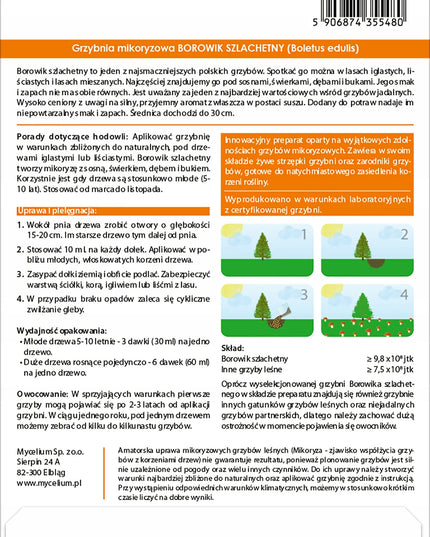 Baravykas, tikrinis baravykas, grybiena XL