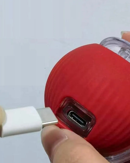 Bėgantis LED kamuoliukas katei ir šuniui, interaktyvus treniruočių žaislas su USB