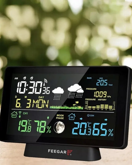 Belaidė meteorologinė stotelė Feegar Rain 7,5" su kritulių matuokliu