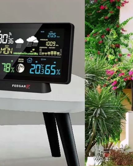 Belaidė orų stotelė Feegar Rain 7,5" Barometras Kritulių matuoklis