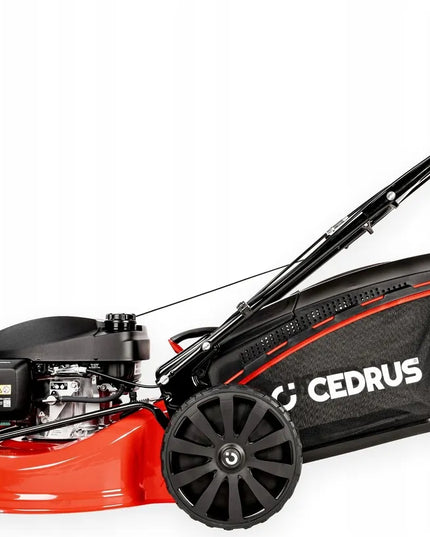 Benzininė savaeigė žoliapjovė Cedrus KS53H, Honda GCV200, 53 cm