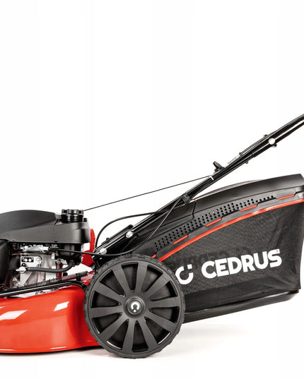 Benzininė vejapjovė Cedrus CEDKS51S-H su pavara, 51 cm, Honda GCV200