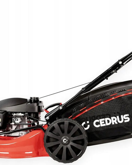 Benzininė vejapjovė Cedrus KS51S-H-ZT su Honda varikliu, 51 cm, 4,6 AG