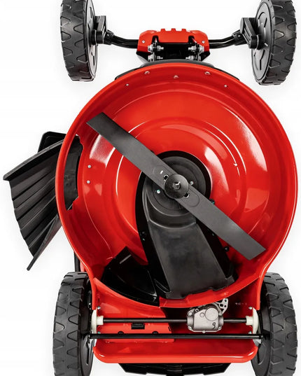 Benzininė vejapjovė Cedrus KS51S-H-ZT su Honda varikliu, 51 cm, 4,6 AG