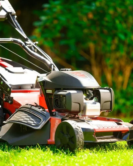 Benzininė vejapjovė Cedrus KS53S-H AL su Honda GCV200 varikliu, 53 cm