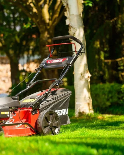 Benzininė vejapjovė Cedrus KS53S-H AL su Honda GCV200 varikliu, 53 cm