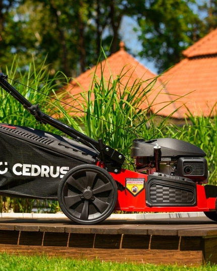 Benzininė vejapjovė Cedrus KS53S-H AL su Honda GCV200 varikliu, 53 cm