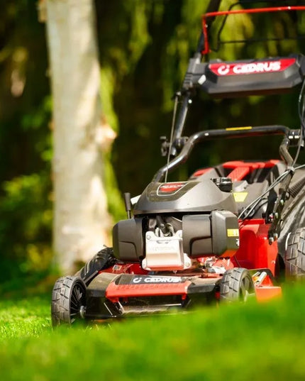 Benzininė vejapjovė Cedrus KS53S-H AL su Honda GCV200 varikliu, 53 cm