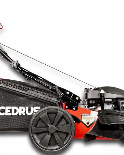 Benzininė vejapjovė Cedrus KS53S-H AL su Honda GCV200 varikliu, 53 cm