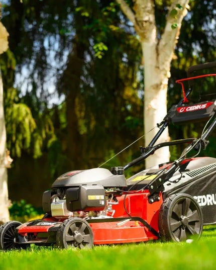 Benzininė vejapjovė Cedrus KS53S-H AL su Honda GCV200 varikliu, 53 cm