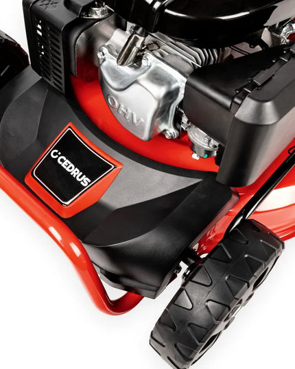 Benzininė vejapjovė CEDRUS KS53S-L su pavara, Loncin LC1P70FC, 53 cm, 6,5 AG