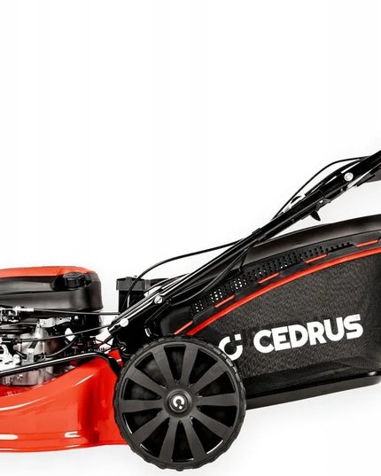 Benzininė vejapjovė Cedrus KS53SV-E, 5.7 AG, 53 cm, su elektriniu starteriu ir pavara