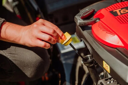 Benzininė vejapjovė Lehmann 146 cm³ su 40 l krepšiu, 42 cm, 6 AG, nemokama alyva