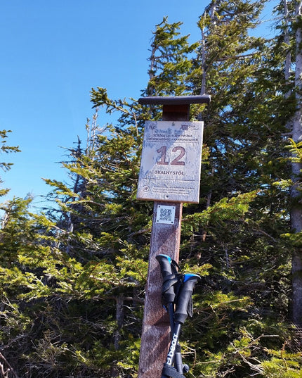 Sulankstomos reguliuojamos trekingo lazdos Beon Fold Lite Blue 110–130 cm – aliuminio, su dėklu ir antgaliais