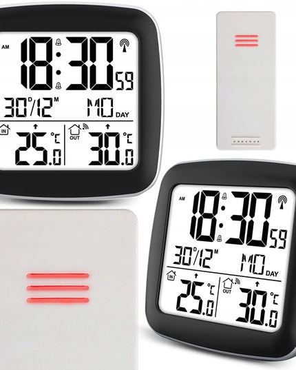 Berdsen BD-903 meteorologinė stotelė su ekranu, sidabrinė