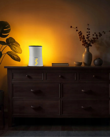 Berdsen oro sausintuvas, drėgmės surinkėjas, tylus 34dB, LED