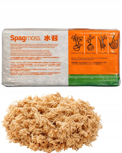Besgrow Classic Euro Sphagnum samanos 150g 12l iš Naujosios Zelandijos